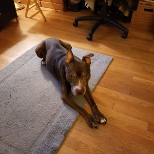 Meet your Posher, Joe